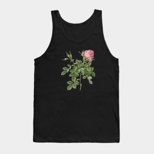 Vintage Dwarf Damask Rose Botanical Illustration Tank Top